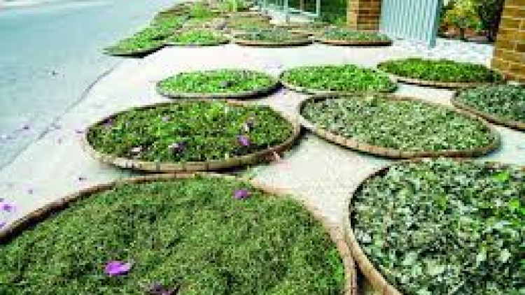 Góc khuất đằng sau câu chuyện có bệnh thì vái tứ phương (20/7/2018)