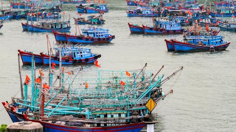 Để ngư dân có thể chủ động ứng phó với mưa bão (15/8/2018)
