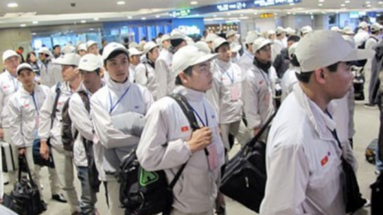 Bộ Lao động Thương binh và Xã hội cảnh báo tình trạng lừa đảo người lao động đi thực tập tại Nhật Bản (Thời sự đêm 7/8/2018)