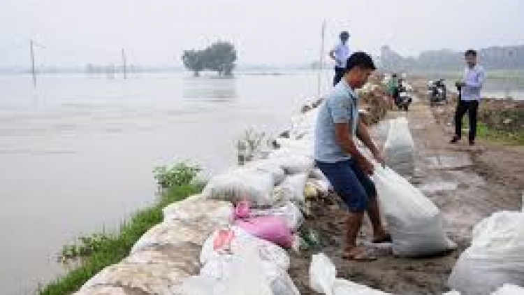 Các địa phương chủ động ứng phó với bão số 4 (15/8/2018)