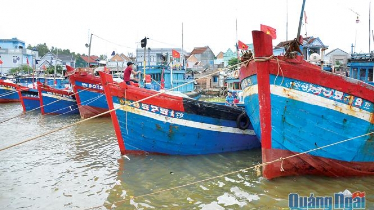 Quảng Ngãi thiếu lao động nghề cá (8/8/2018)