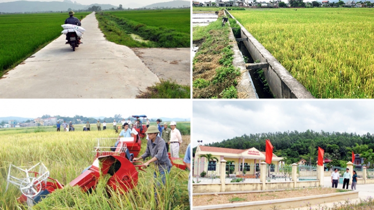 10 năm: Bước chuyển biến lớn về nông nghiệp, nông dân, nông thôn (8/8/2018)