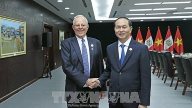 Thúc đẩy ngoại giao nhân dân Việt Nam - Peru (6/8/2018)