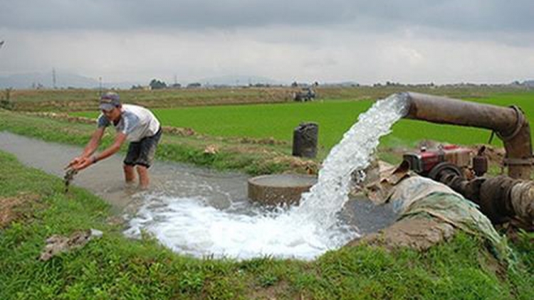 Giải pháp đảm bảo nguồn nước cho sản xuất nông nghiệp vụ Đông Xuân 2019 ở các tỉnh Trung du và Đồng bằng Bắc Bộ (24/1/2019)