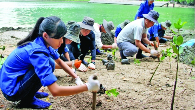 Biến đổi khí hậu và hành động của tuổi trẻ (2/1/2019)