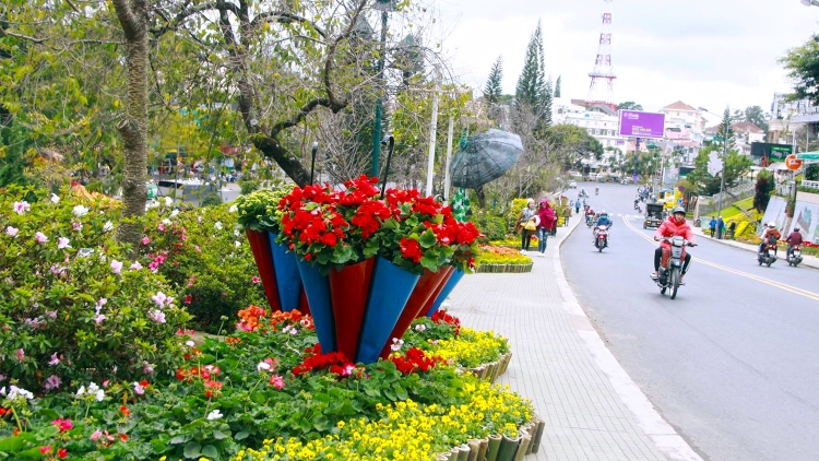 Thành phố Đà lạt trong mắt du khách quốc tế (21/1/2019)