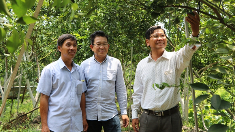 Hội quán - Mô hình mới để nông dân cùng nhau liên kết (11/1/2019)