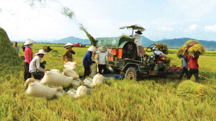 Những yếu tố tạo nên sự thay đổi về “chất” trong mô hình Hợp tác xã kiểu mới (9/1/2019)