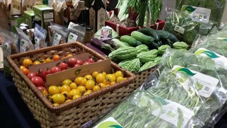 Hàng nông sản đúng quy chuẩn sẽ phát triển bền vững (12/1/2019)