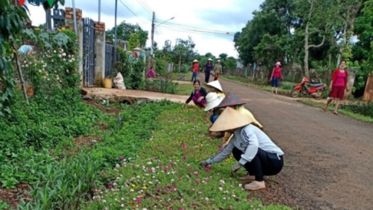 Xuân về trên xã Nông thôn mới Ea Tar,  huyện Cư M’gar, tỉnh Đắk Lắk (25/1/2019)