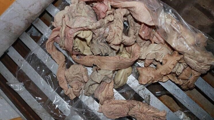 Hải Phòng: Tiêu hủy 6 tấn lòng lợn nhiễm dịch tả châu Phi (8/10/2019)