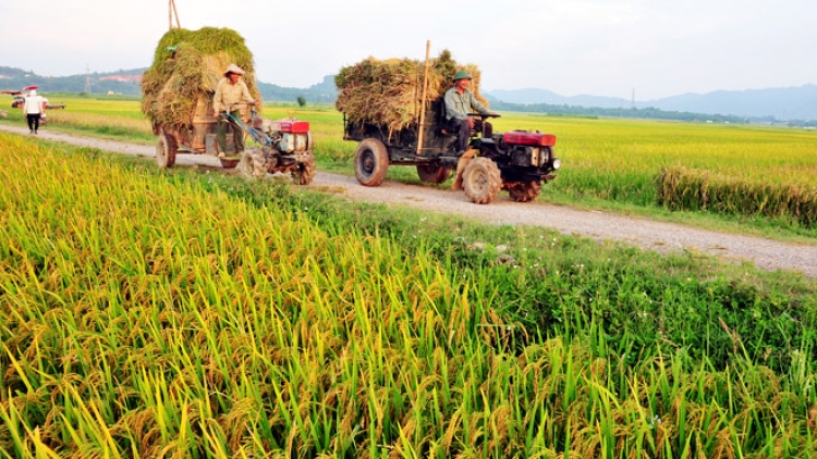 Nhu cầu về lương thực, thực phẩm ngày một gia tăng, vậy làm sao để ổn định và đáp ứng nhu cầu này của người dân? (3/10/2019)