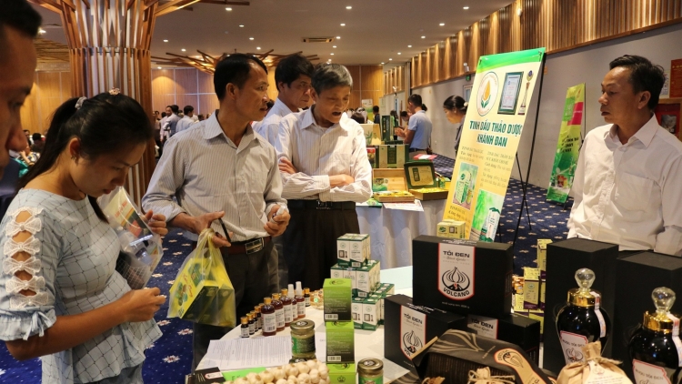 Kết nối thị trường tiêu thụ nông đặc sản vùng miền núi, vùng sâu, vùng xa, biển đảo (30/10/2019)