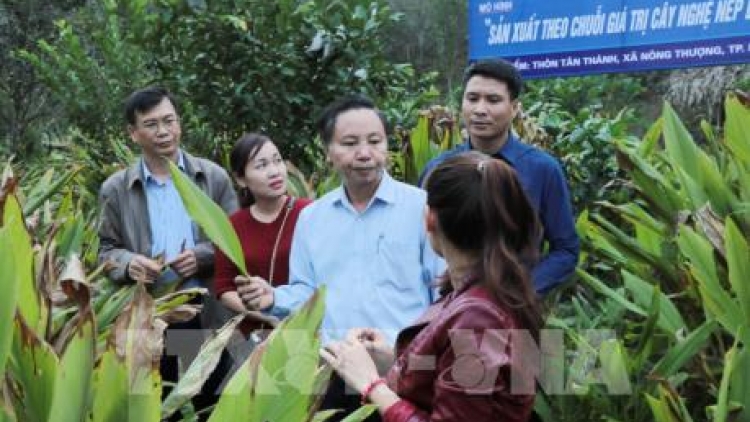 Thúc đẩy kết nối cung cầu cho nông sản miền núi phía Bắc (4/12/2019)