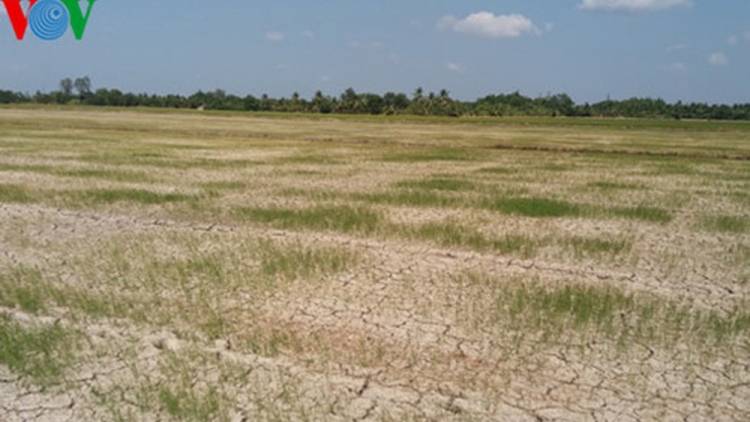 Loạt bài: Ứng phó với thách thức an ninh nguồn nước ở Đồng bằng Sông Cửu long – Bài đầu tiên có nhan đề: “Nước cạn giữa mùa lũ: Từ thiên tai đến nhân tai” (16/12/2019)