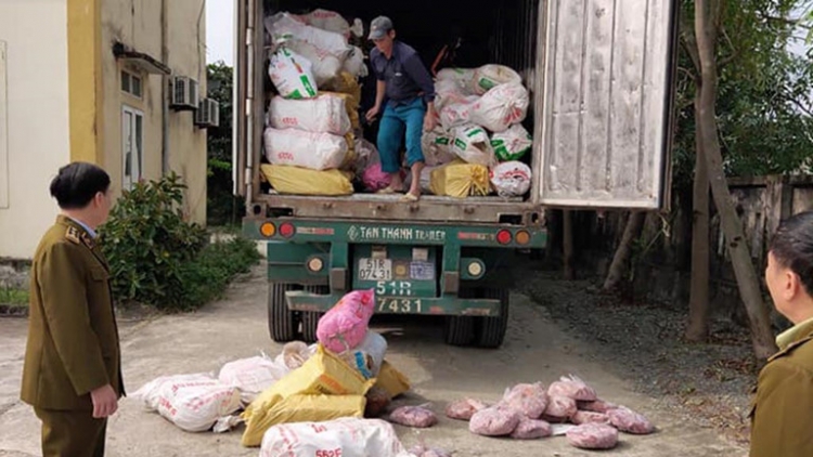Quản lý thị trường Hà Tĩnh: Bắt giữ xe container chở gần 12 tấn nội tạng động vật đang hư hỏng (12/12/2019)