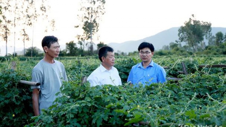 Làm gì để đánh giá, xếp loại chất lượng tổ chức Đảng và đảng viên cuối năm đảm bảo chất lượng? (17/12/2019)