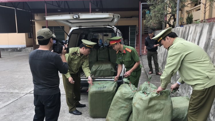 Lạng Sơn: Thu giữ 600kg nầm lợn đã bốc mùi hôi, thối (3/12/2019)