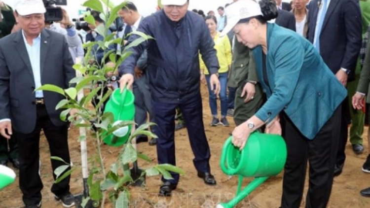 Chủ tịch Quốc hội Nguyễn Thị Kim Ngân dự lễ ra quân hưởng ứng Tết trồng cây tại tỉnh Hòa Bình (Thời sự trưa 13/2/2019)