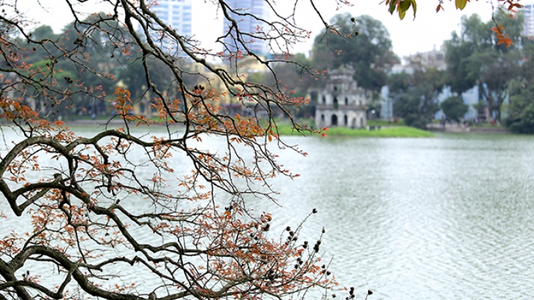 Sắc màu Hà Nội những ngày cuối xuân (21/2/2019)