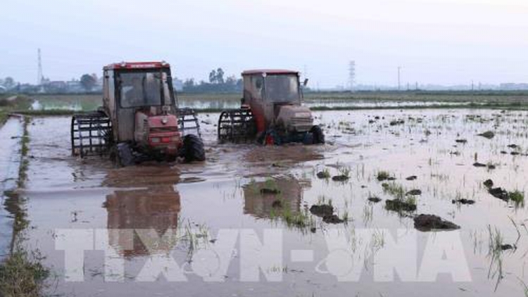 Nhiều địa phương vùng Đồng bằng Bắc Bộ đã lấy đủ nước phục vụ gieo cấy vụ Đông Xuân 2019, đạt hơn 92% kế hoạch (Thời sự đêm 16/2/2019)