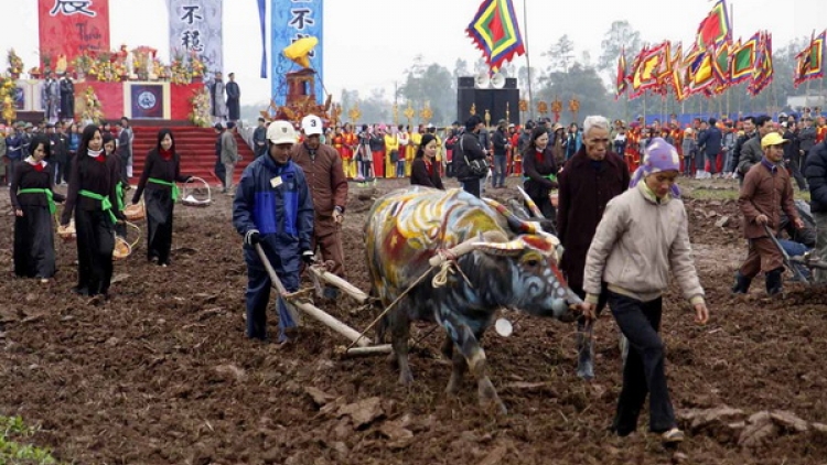 Lễ Tịch điền: Sá cày trọng nông cho năm mới (11/2/2019)