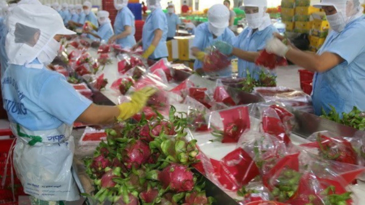 Thay đổi tư duy xuất khẩu nông sản (13/3/2019)