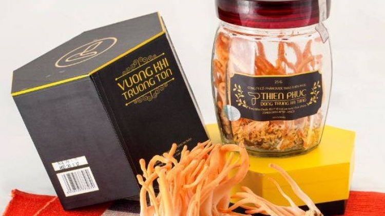 Công dụng của đông trùng hạ thảo đối với sức khỏe và sắc đẹp của phái đẹp (2/3/2019)