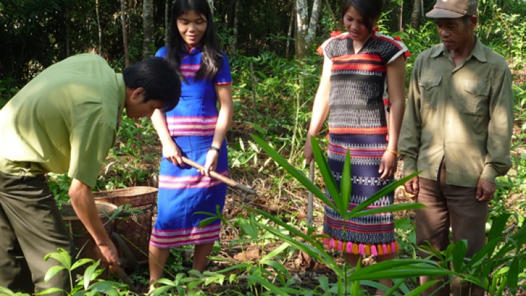 Tạo sinh kế bền vững cho đồng bào để giữ rừng (20/3/2019)