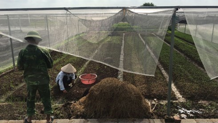 Thay đổi tập quán sử dụng phân bón hướng đến sản xuất an toàn (11/3/2019)