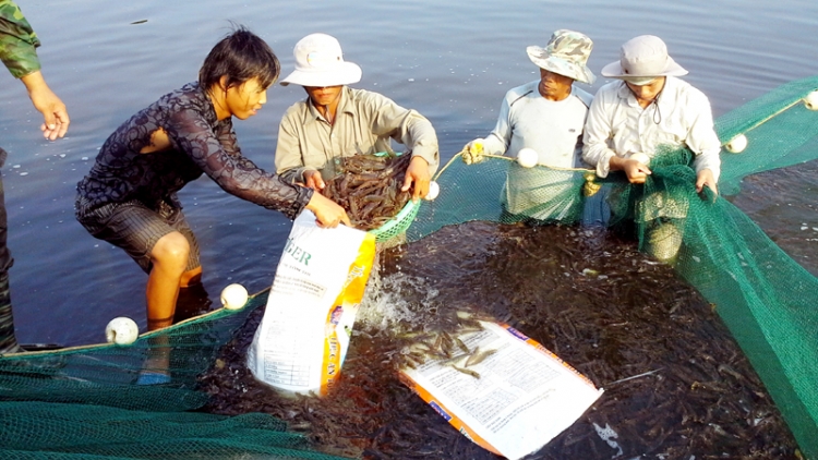 Những thành tựu nổi bật của ngành thủy sản trong 60 năm qua (1/4/2019)