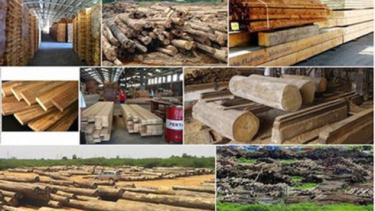 Lâm sản tăng trưởng ngoạn mục: Điểm tựa vững chắc để phát triển lâm nghiệp (15/4/2019)
