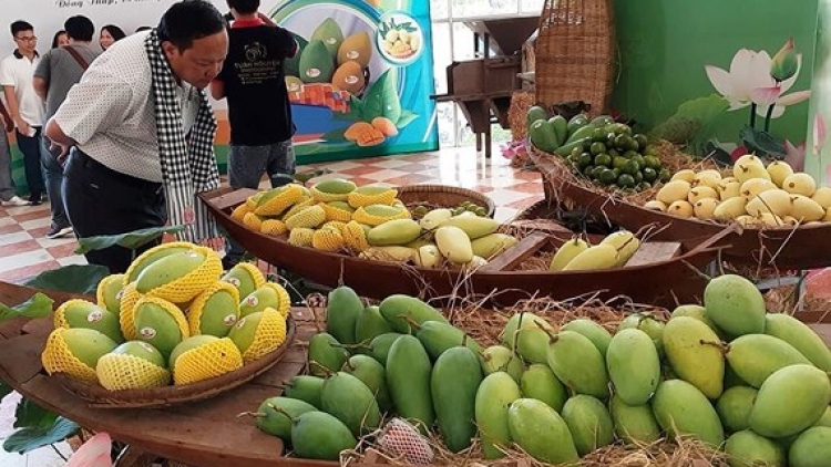 Công bố xuất khẩu lô xoài đầu tiên của Việt Nam sang thị trường Mỹ (Thời sự chiều 18/4/2019)