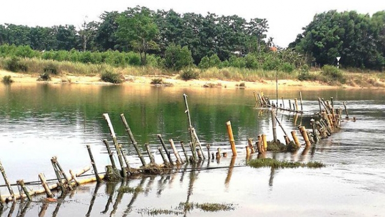 Thừa Thiên Huế: dân đóng cọc tre xuống sông ngăn cát tặc (10/5/2019)