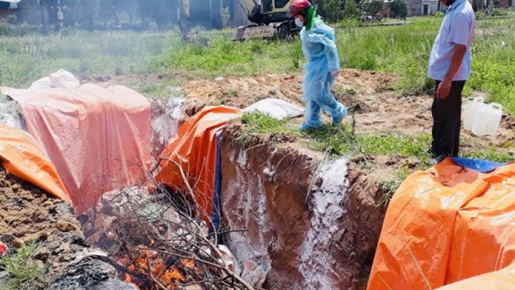 THỜI SỰ 21H30 ĐÊM 26/5/2019: Công an tỉnh Đồng Nai khởi tố vụ án về vụ trữ đông 4 tấn thịt lợn nhiễm dịch tả lợn châu Phi tại huyện Trảng Bom.