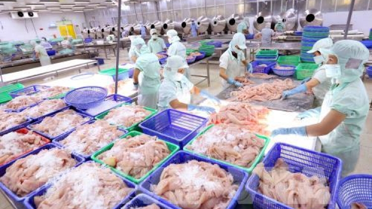 Các địa phương nỗ lực thực hiện giải pháp khắc phục thẻ vàng (13/6/2019)