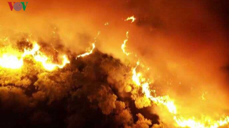 THỜI SỰ 21H30 ĐÊM 29/6/2019: Thủ tướng Chính phủ có công điện yêu cầu các địa phương, bộ ngành tăng cường các biện pháp cấp bách phòng cháy, chữa cháy rừng