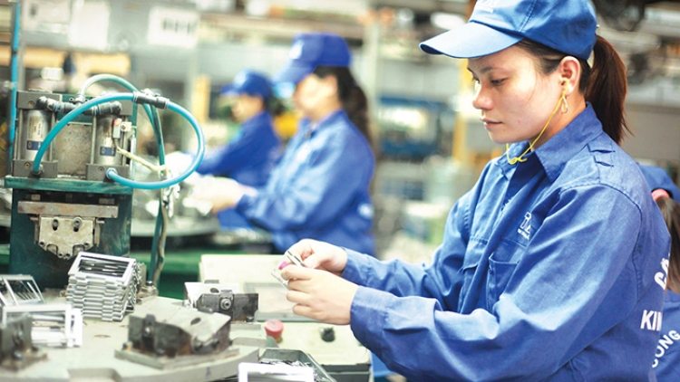 Luật sửa đổi bổ sung một số điều của Luật Sở hữu trí tuệ: Đảm bảo môi trường kinh doanh lành mạnh (26/6/2019)