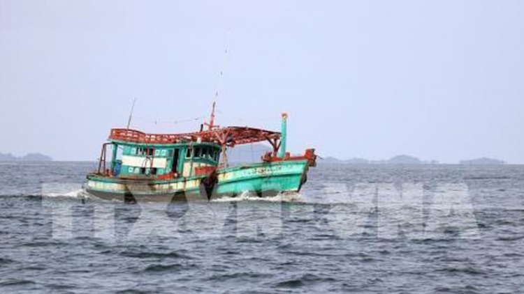 Các địa phương đẩy mạnh triển khai lắp đặt các thiết bị giám sát hành trình cho tầu cá (27/6/2019)