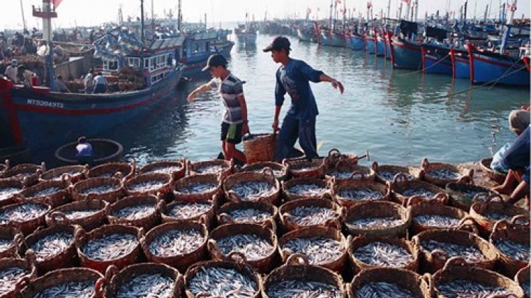 Loạt bài “Phát triển nghề cá bền vững, có trách nhiệm”.- Bài cuối: "Phát triển nghề cá bền vững” (26/6/2019)
