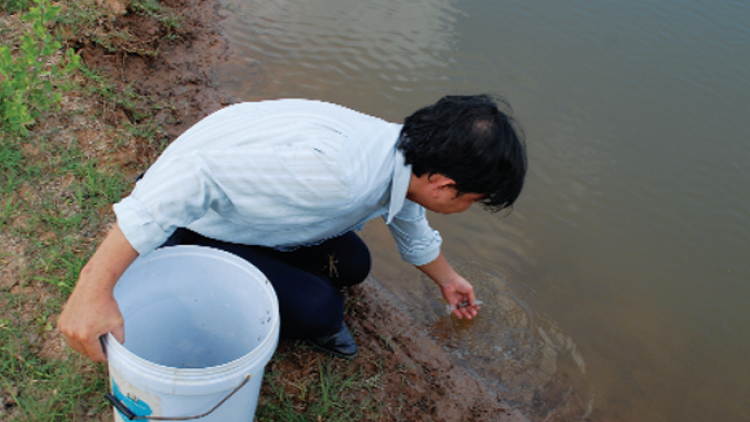 Kinh nghiệm phòng chống dịch bệnh trên thủy sản (19/6/2019)