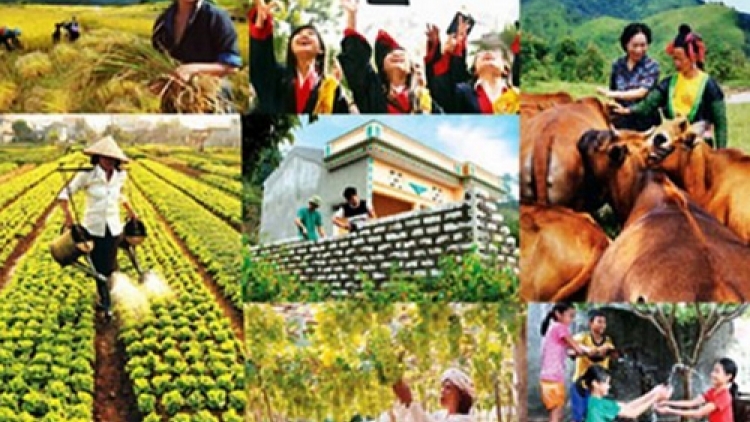 Nhiều giải pháp giúp giảm nghèo bền vững ở các địa phương (8/7/219)