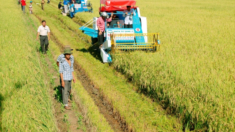 Áp dụng mô hình mới ứng dụng công nghệ trong sản xuất nông nghiệp thích ứng với biến đổi khí hậu (3/7/2019)