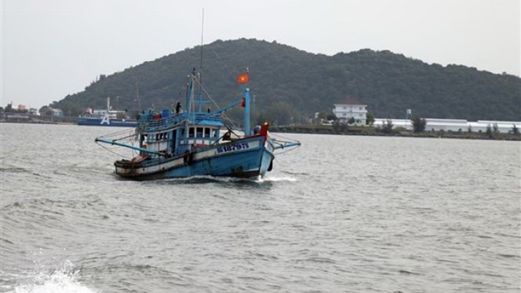 Hoạt động tuần tra kiểm soát nghề cá trên biển của lực lượng kiểm ngư gắn với việc khắc phục thẻ vàng Châu Âu (11/7/2019)