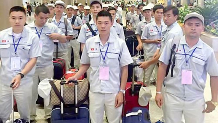 Chương trình đưa lao động thời vụ sang Hàn Quốc làm việc - Cơ hội và những cảnh báo (11/7/2019)