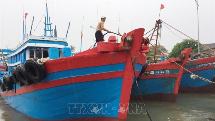 THỜI SỰ 21H30 ĐÊM 3/7/2019: Công tác phòng chống cơn bão số 2 đang được tích cực triển khai, dự báo sáng mai bão đổ bộ vào đất liền.