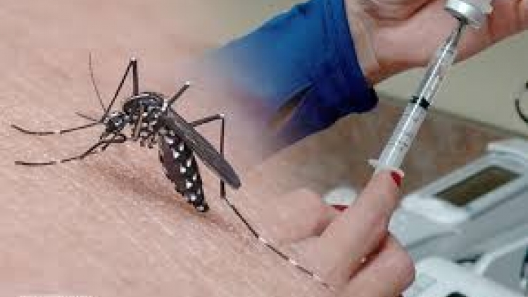THỜI SỰ 18H00 CHIỀU 27/7/2019: Nhóm nghiên cứu vaccine sốt xuất huyết của Viện Pasteur Thành phố Hồ Chí Minh hoàn tất việc nghiên cứu vaccine sốt xuất huyết tại Việt Nam