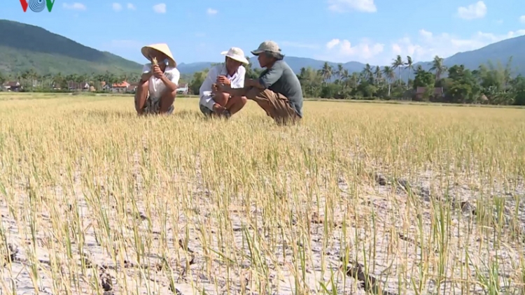Thừa thiếu nước và câu chuyện quản lý (26/7/2019)