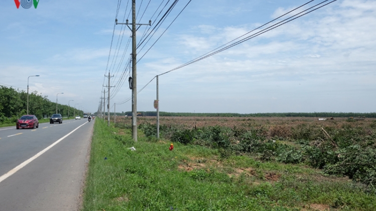 THỜI SỰ 21H30 ĐÊM NGÀY 5/8/2019: Tỉnh Đồng Nai sẽ ban hành giá đền bù một lần với dự án Sân bay quốc tế Long Thành, để tránh các khiếu nại phát sinh.