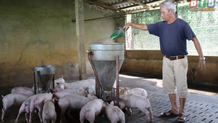 Nông thôn nhìn từ tiêu chí nâng cao thu nhập cho người dân (29/8/2019)